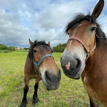 Glamp Glamour***** Kowale Oleckie